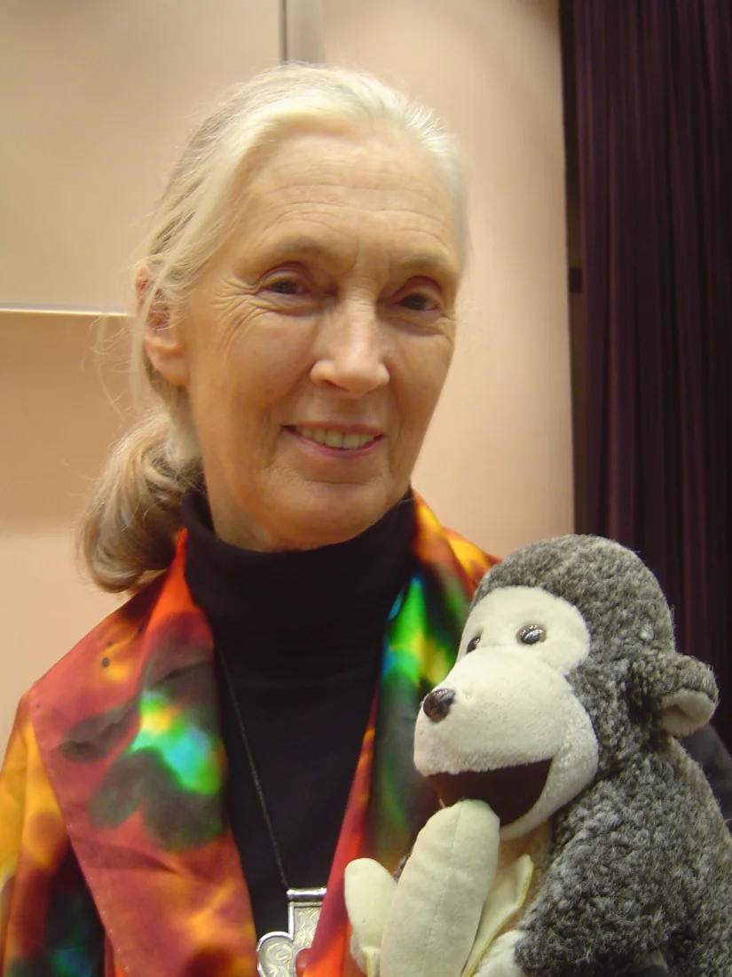 Jane Goodall holding her travelling toy monkey Mr. H